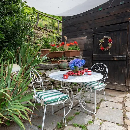 샬레 Il Gianlupo Grigio By Interhome 보그난코