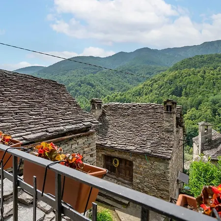 Il Gianlupo Grigio By Interhome *