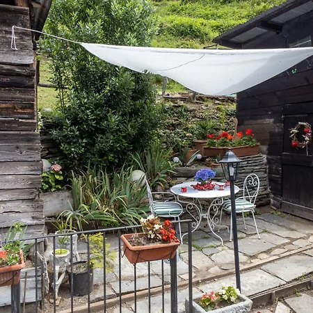 Il Gianlupo Grigio By Interhome