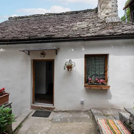 Il Gianlupo Grigio By Interhome 보그난코