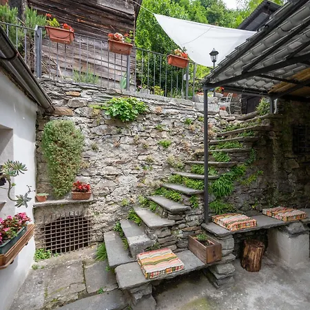 Il Gianlupo Grigio By Interhome 샬레