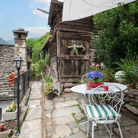 Il Gianlupo Grigio By Interhome *