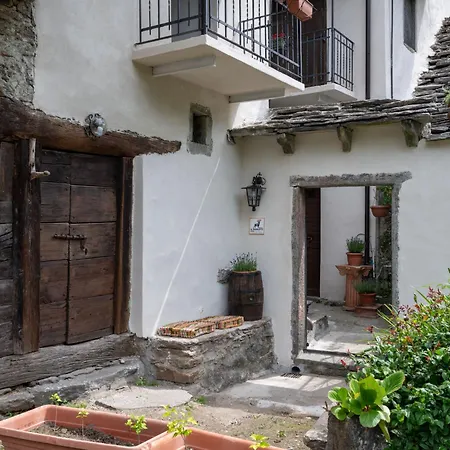 Il Gianlupo Grigio By Interhome *