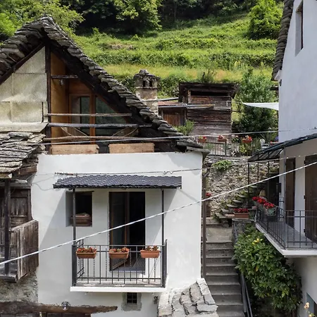 Il Gianlupo Grigio By Interhome *