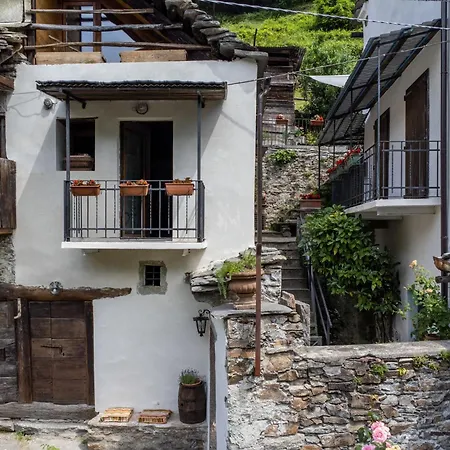 Il Gianlupo Grigio By Interhome