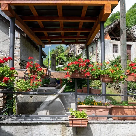 Il Gianlupo Grigio By Interhome Шале Bognanco