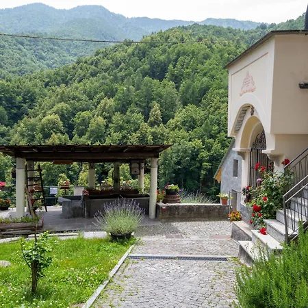 Il Gianlupo Grigio By Interhome