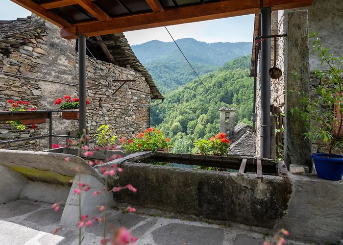 Il Gianlupo Grigio By Interhome *